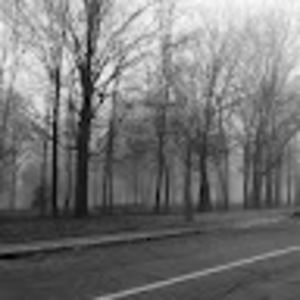 Meet your Posher, Dany